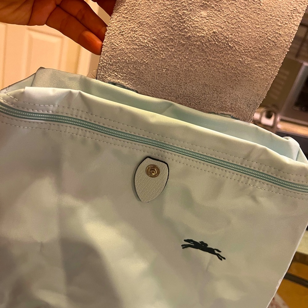 Longchamp Le Pliage backpack